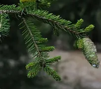 c1212是什么-开云体育